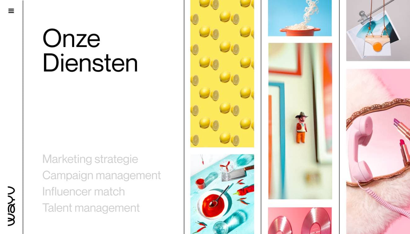 Wayv Agency and Talent Management